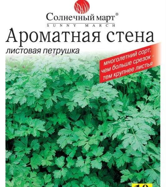 Насіння листової петрушки "Ароматна стіна", 10 грам
