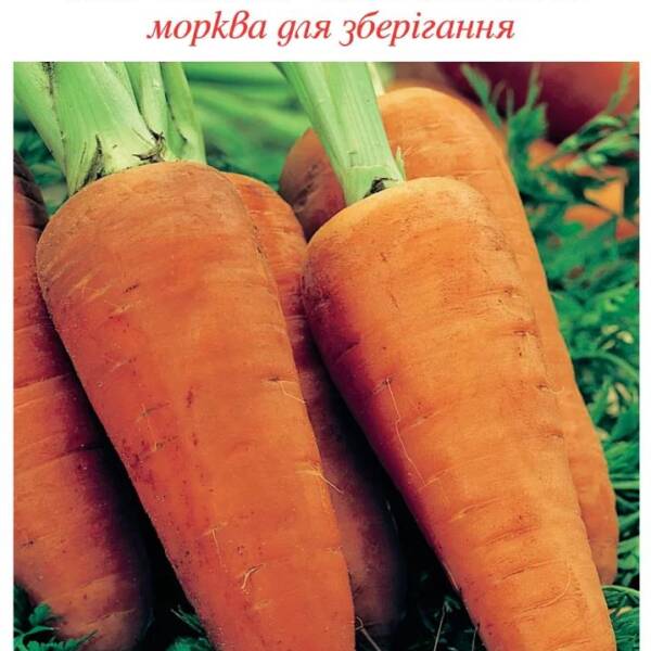 Насіння моркви для зберігання "Мускат - Muscade", 10 грам