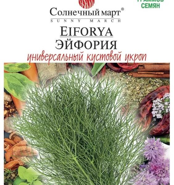 Насіння універсального кущового кропу Ейфорія, 10 грам