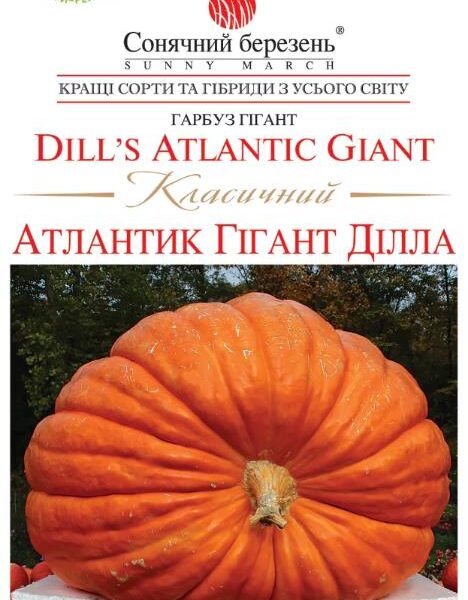 Насіння гарбуза "Атлантик Гігант Ділла" Класичний, 5 відбірних зернят