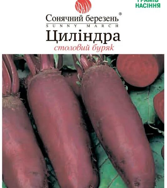 Насіння столового буряка "Циліндра" 10 грам