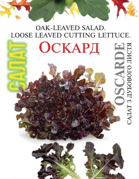 Насіння салату "Оскард", 500 насінин
