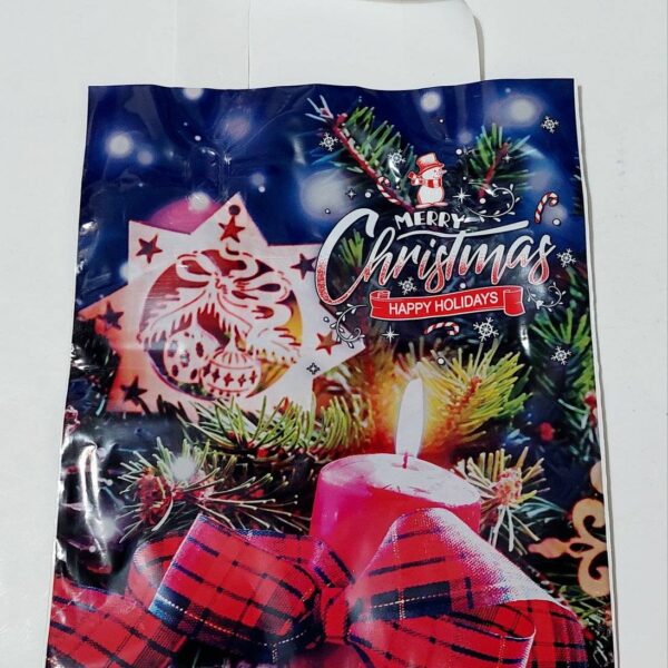 Пакет ламінований Merry Christmas Happy Holidays з петльовою ручкою 22*28 см